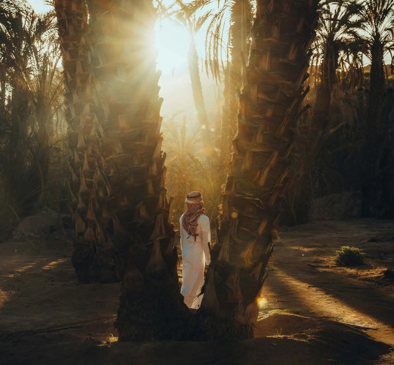 A man walking among palm trees in an oasis